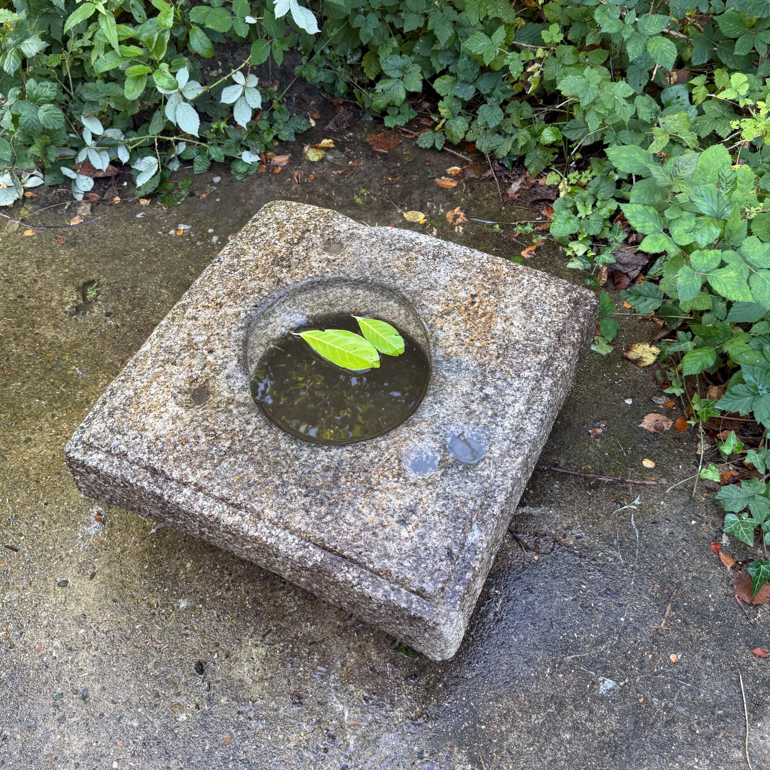 Rare square waterbassin - Image 6
