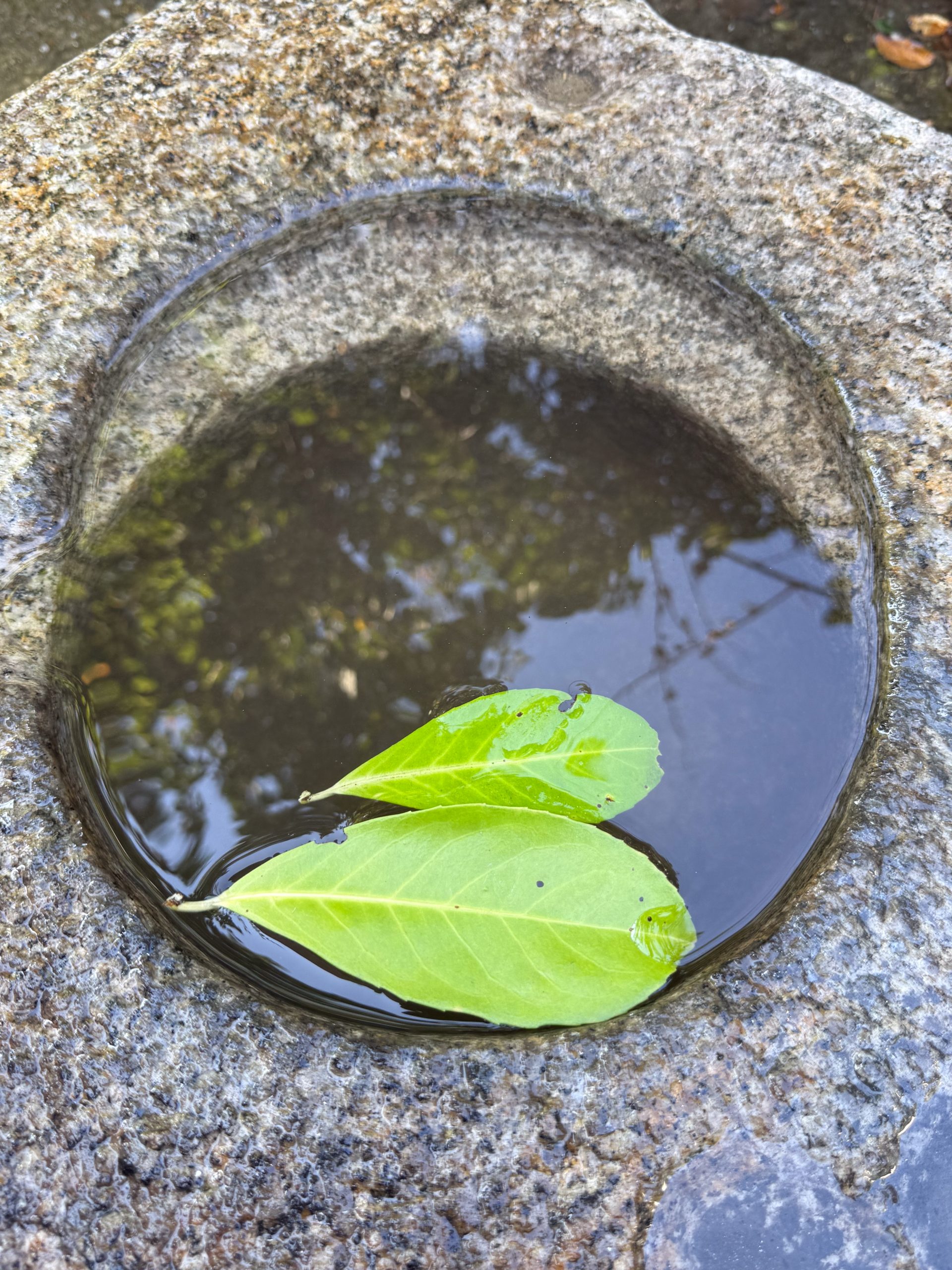 Rare square waterbassin - Image 2