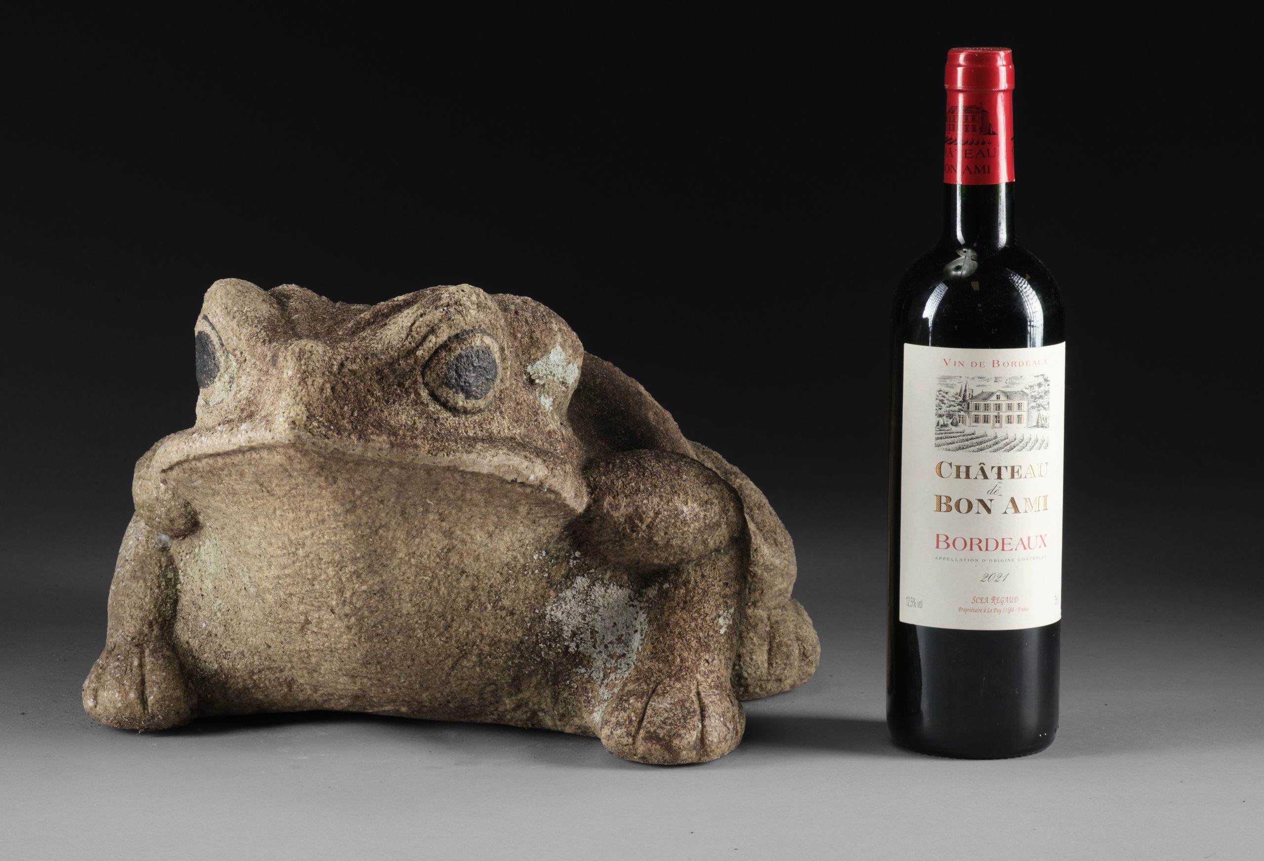 Granite frog - Image 3