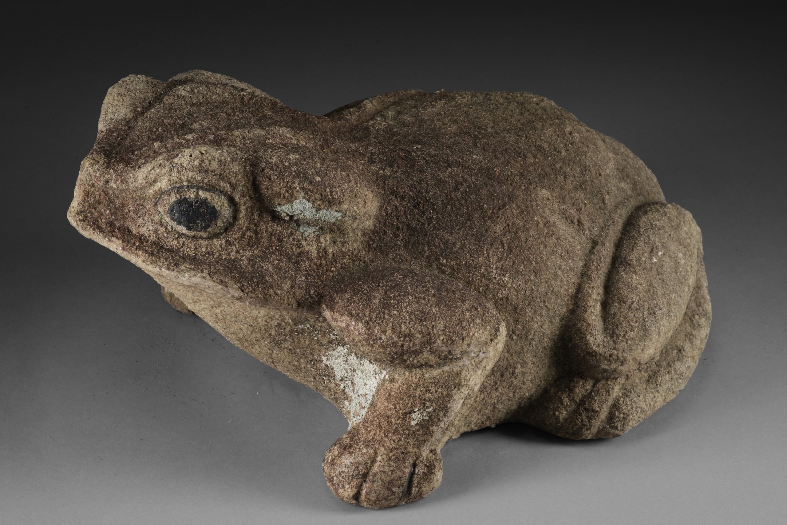 Granite frog - Image 6